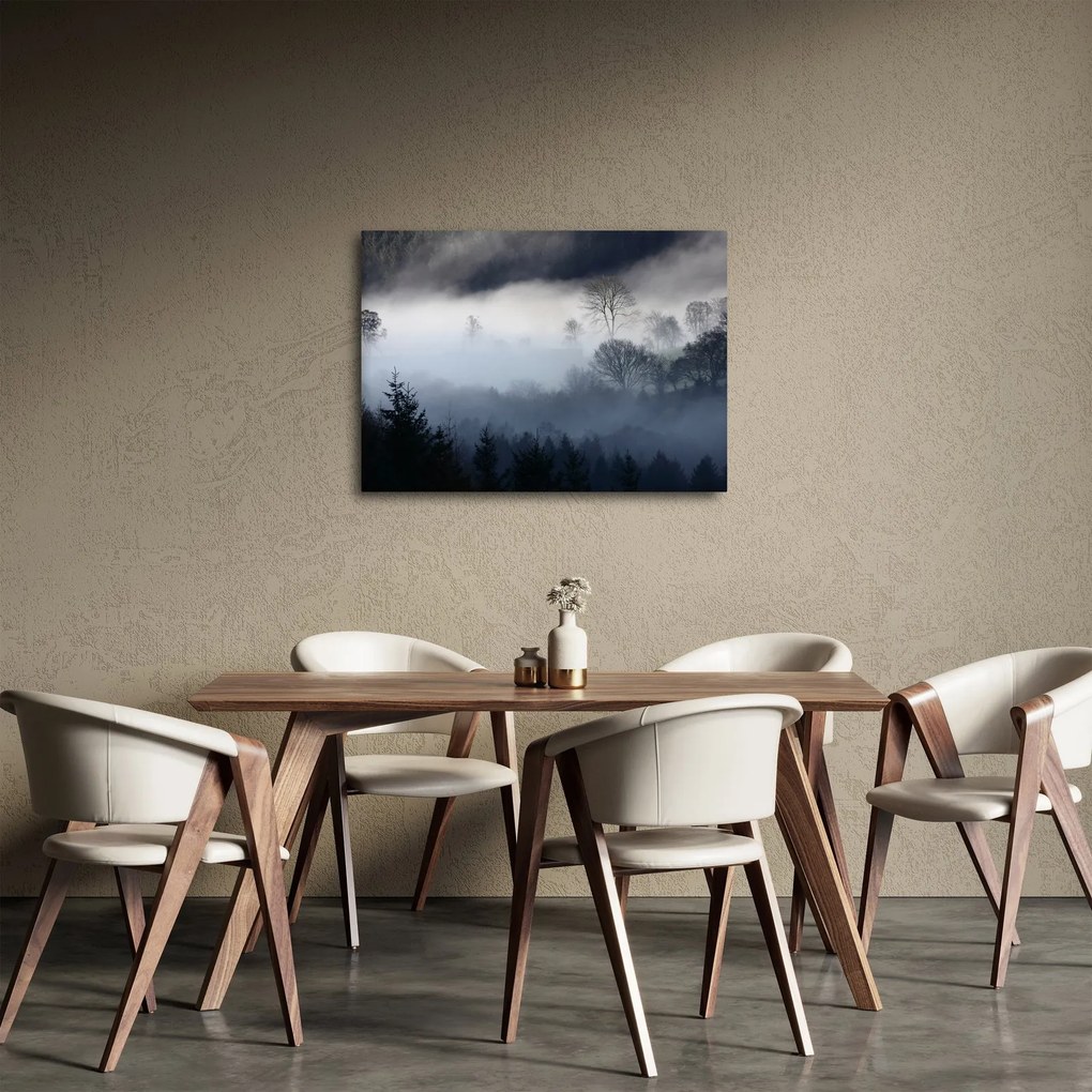 Obraz hmly nad lesom (70x50 cm)
