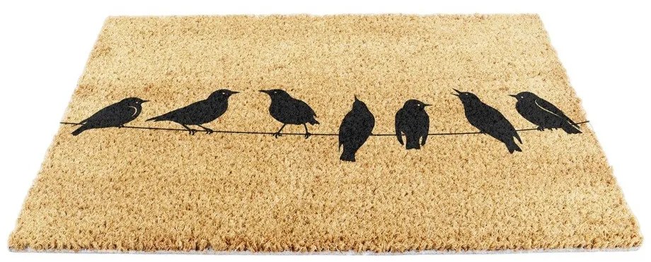 Rohožka z kokosového vlákna 40x60 cm Birds On a Wire – Artsy Doormats