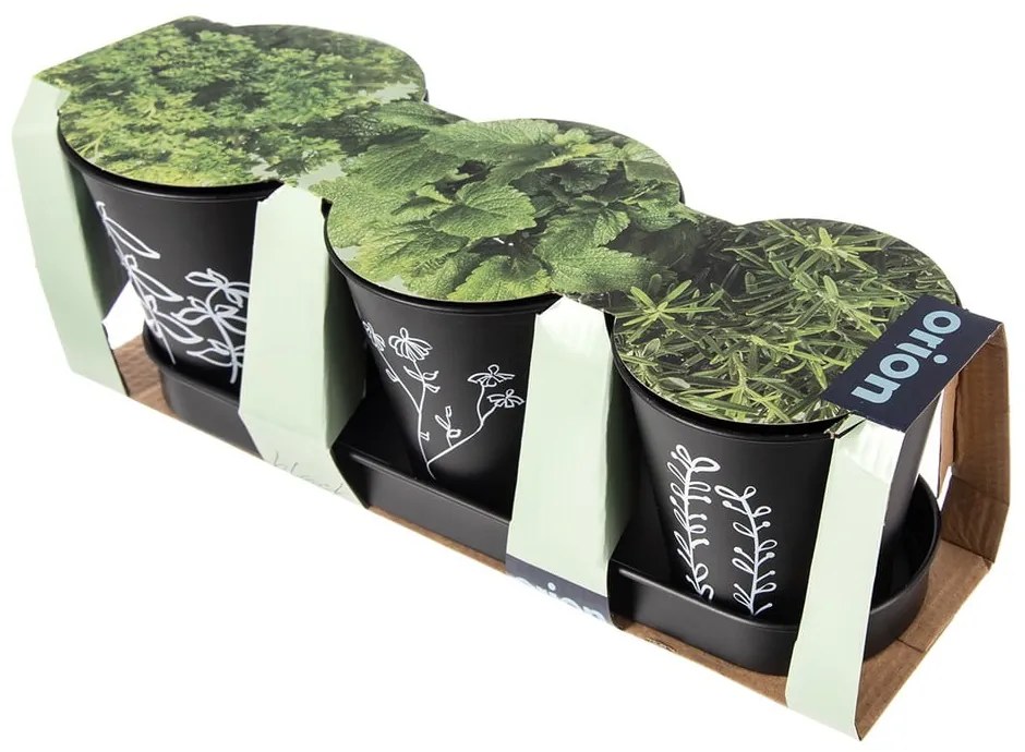Kovové kvetináče na bylinky v súprave 3 ks ø 11 cm Black – Orion