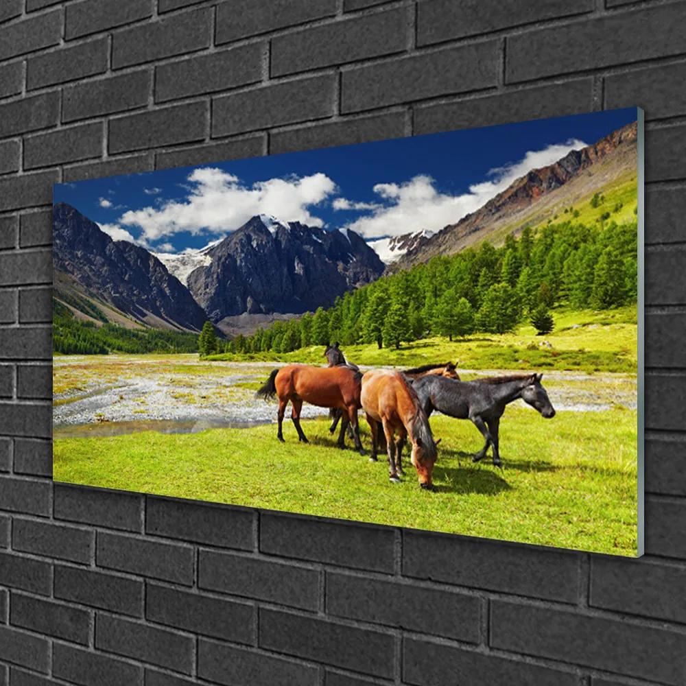 Skleneny obraz Hory stromy kone zvieratá 125x50 cm