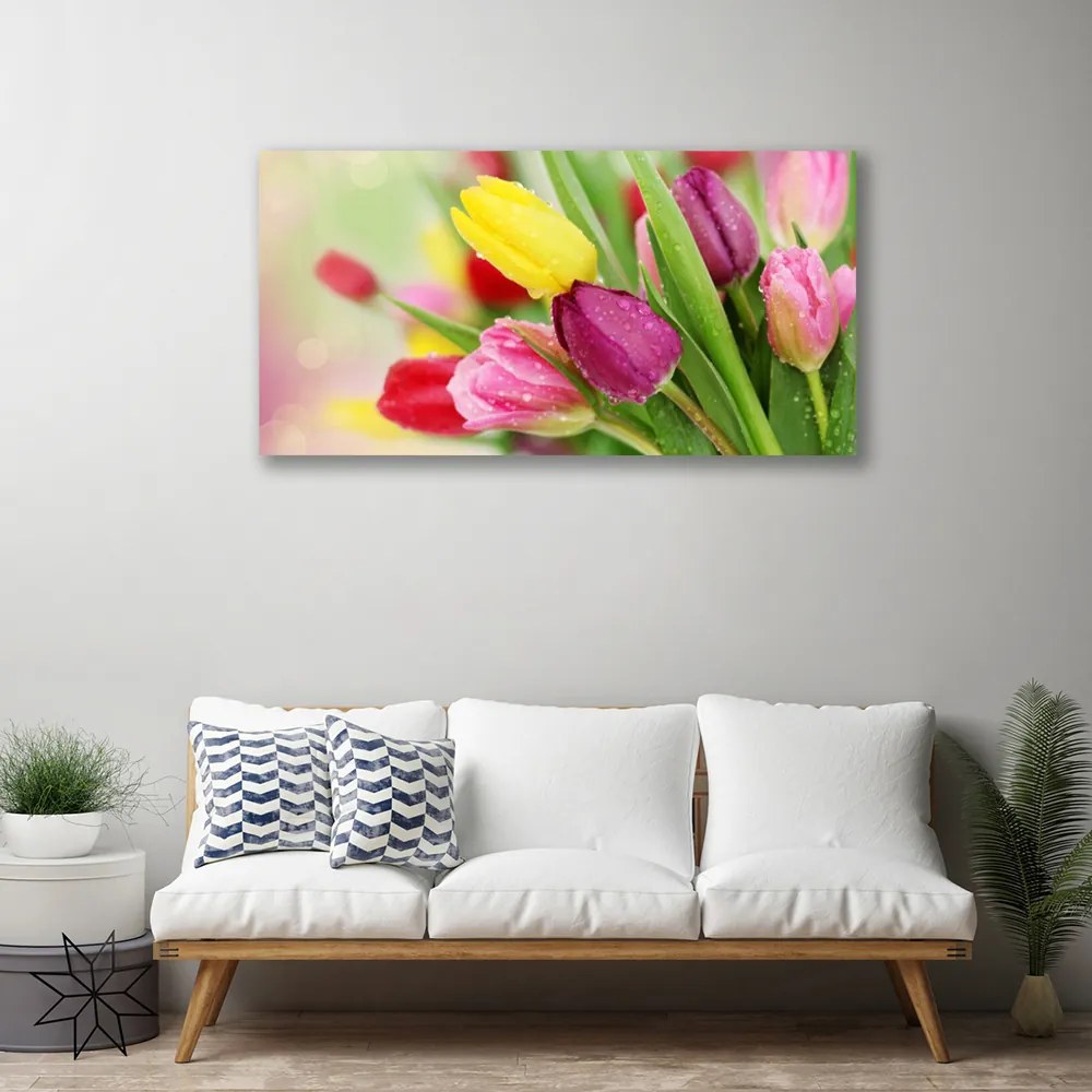 Obraz na plátne Tulipány kvety rastlina 100x50 cm