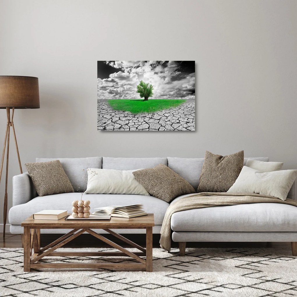 Sklenený obraz - Kus prírody v meste (70x50 cm)