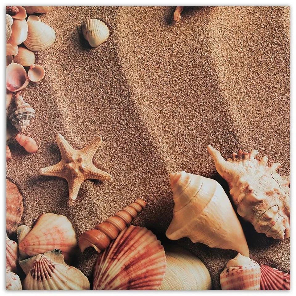 Obraz na plátně Mušle Mořský písek - 60x60 cm