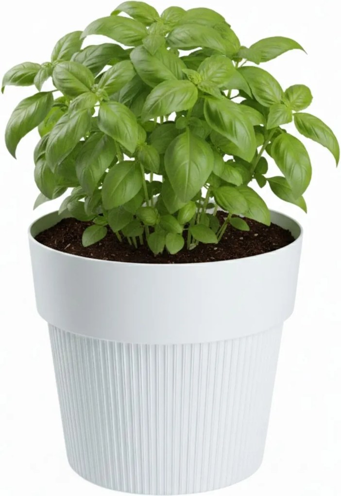 PLASTOVÝ KVETINÁČ SILVA LINE 20X17,5 CM BIELA