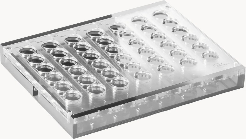 Strategická hra: 4 v rade Yap