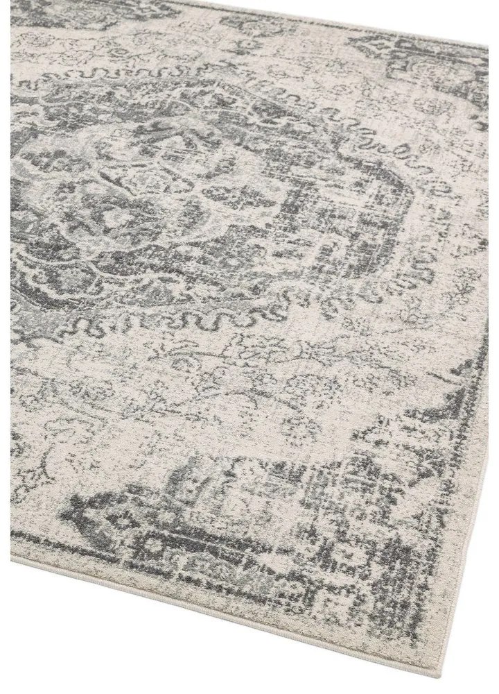 Sivo-krémový koberec 160x230 cm Nova – Asiatic Carpets