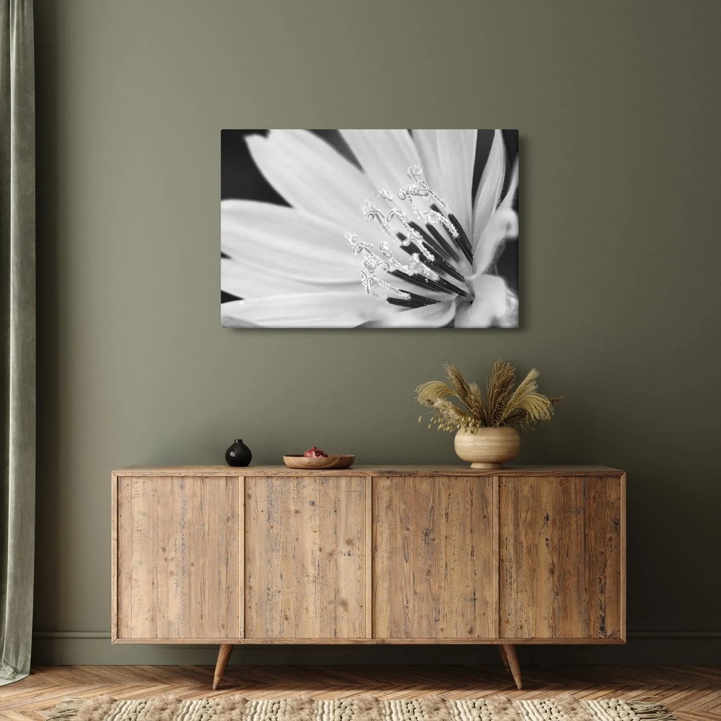 Obraz - Čiernobiely kvet (90x60 cm)