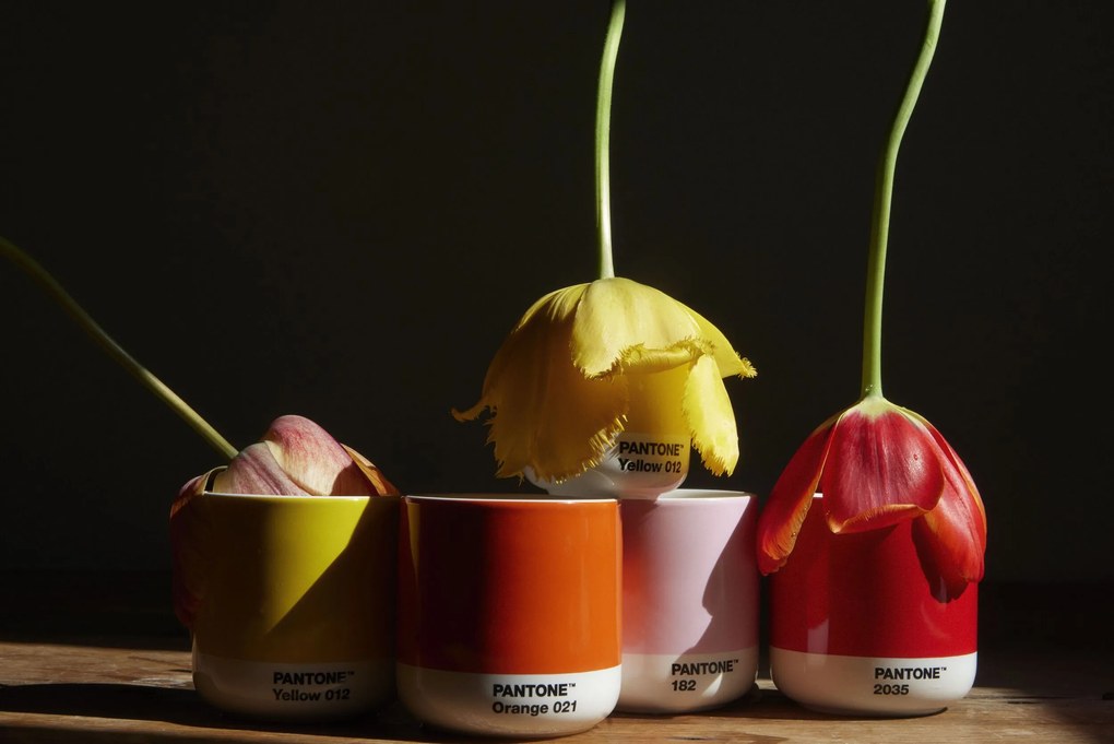 Hrnčeky Pantone 100 ml teplé farby 4 ks
