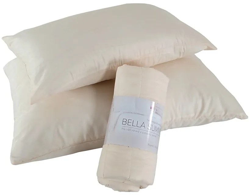 Obliečka na vankúš z mikrovlákna 45x75 cm Summer – B.E.S.