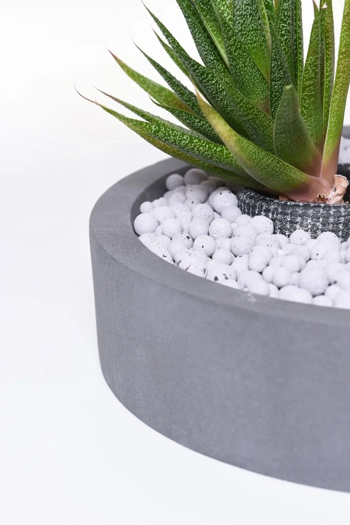 Miska na dekorácie CIRCULO, sklolaminát, Ø 40 cm, sivá