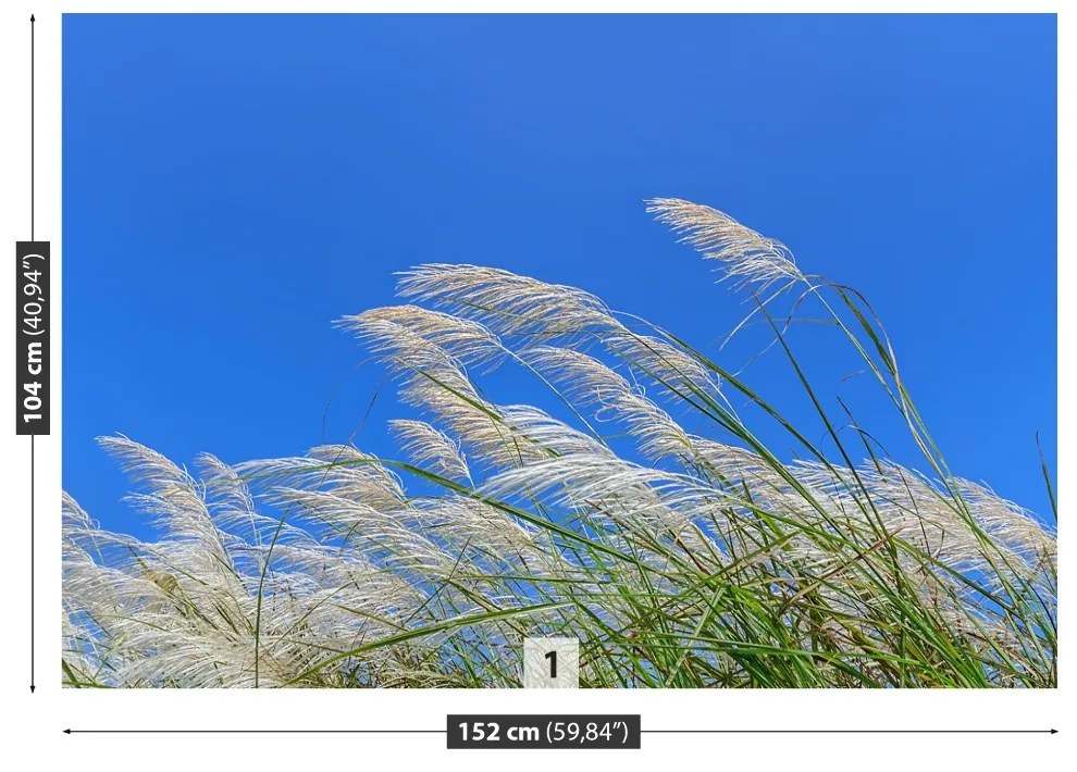 Fototapeta Vliesová Modrá tráva 152x104 cm
