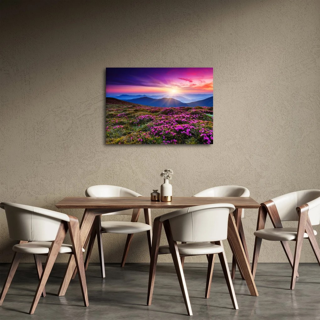 Obraz - Horská rozkvitnutá krajina (70x50 cm)