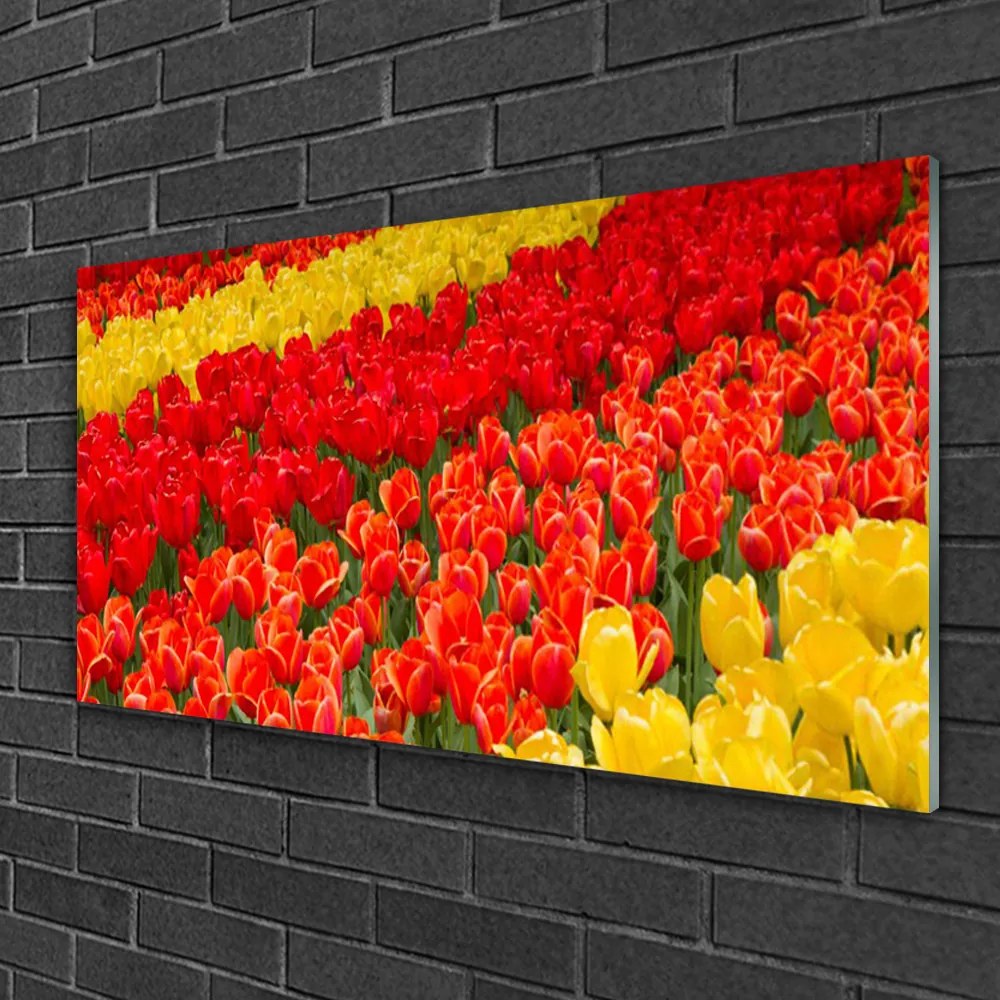 Obraz na skle Tulipány kvety 140x70 cm