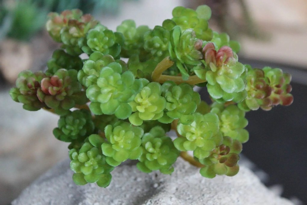 Zelený umelý sukulent 14cm