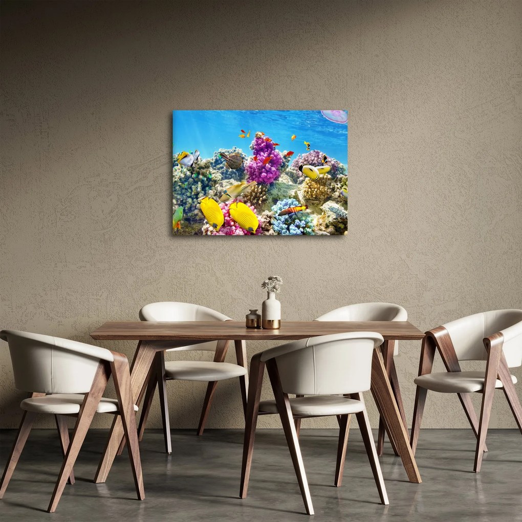 Obraz - Morský svet (70x50 cm)