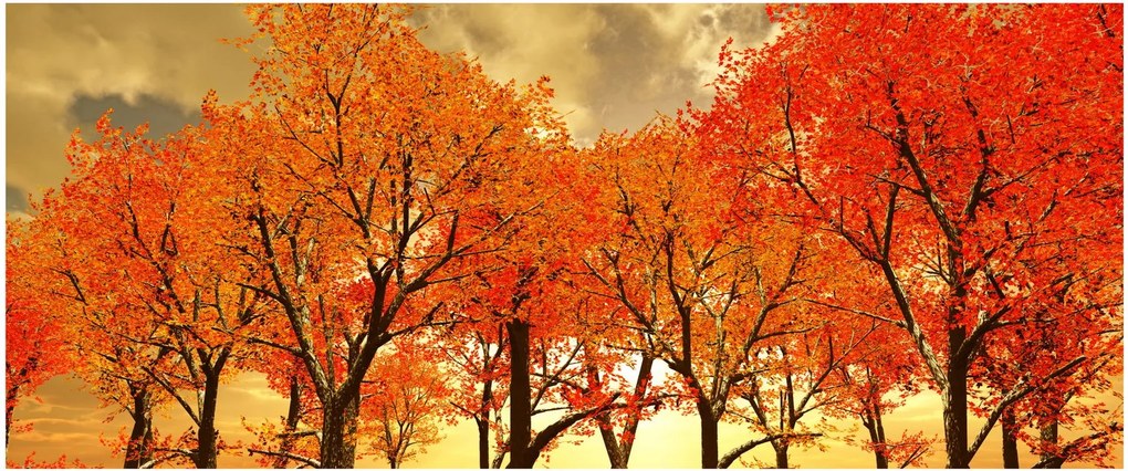 Obraz - Jeseň (120x50 cm)