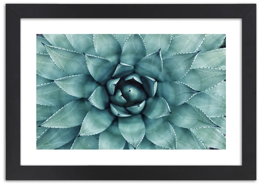 Gario Plagát Modré listy agáve Farba rámu: Bez rámu, Rozmery: 60 x 40 cm