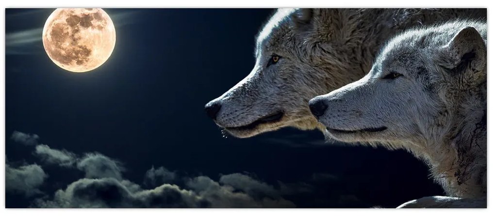 Obraz vlkov vyjúcich na mesiac (120x50 cm)