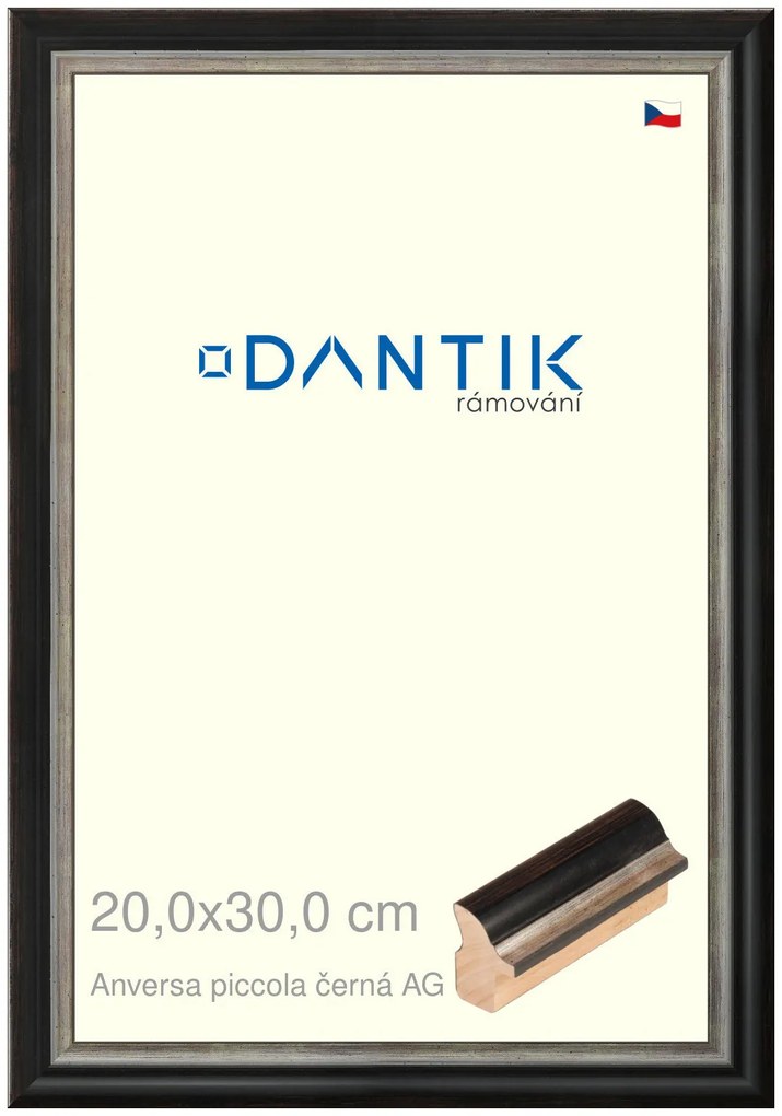 DANTIK rám na obraz 20x30 | ANIVERSA piccola černá AG (Sklo Čiré)