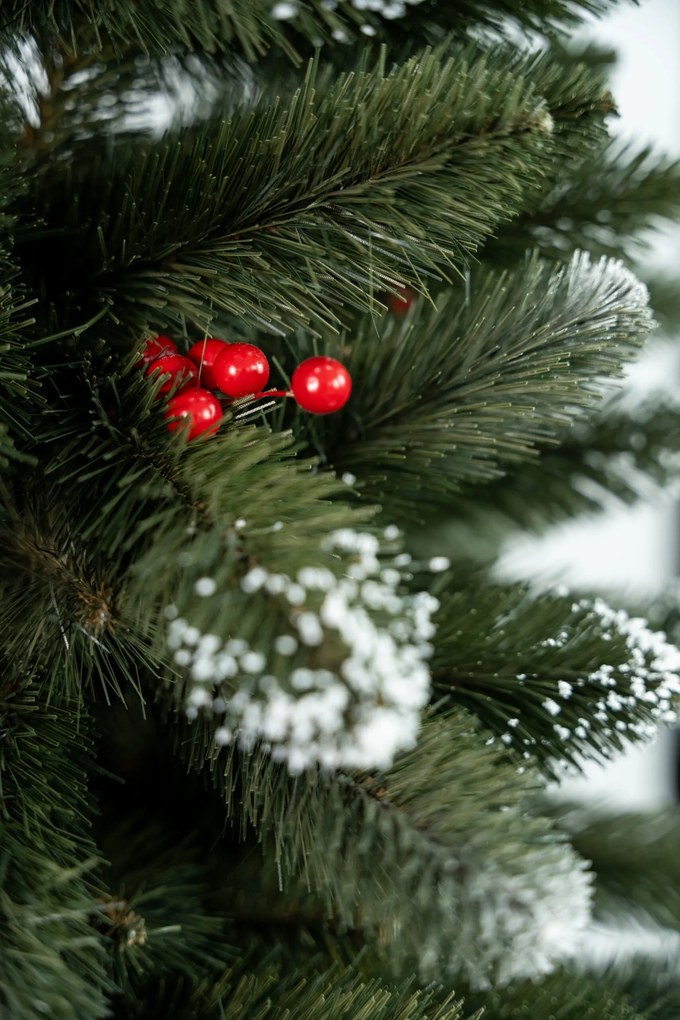 Limpol Borovica Iza s červenými bobuľami Slim Výška stromčeka: 180 cm