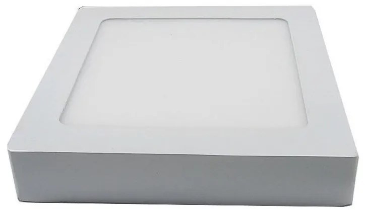 LED Stropné svietidlo LED/12W/230V 3000K