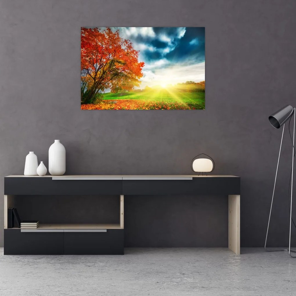 Obraz krajiny zaliate slnečným svitom (90x60 cm)