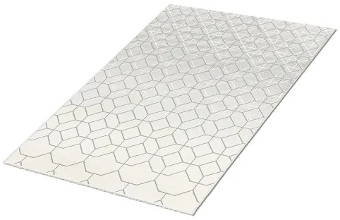 Koberce Breno Kusový koberec TERRA 07/VGS, viacfarebná,80 x 150 cm