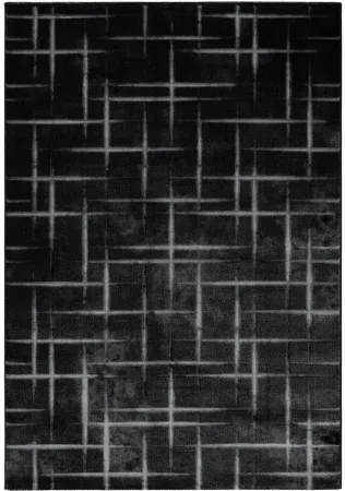 Koberce Breno Kusový koberec COSTA 3521 Black, čierna, viacfarebná,240 x 340 cm
