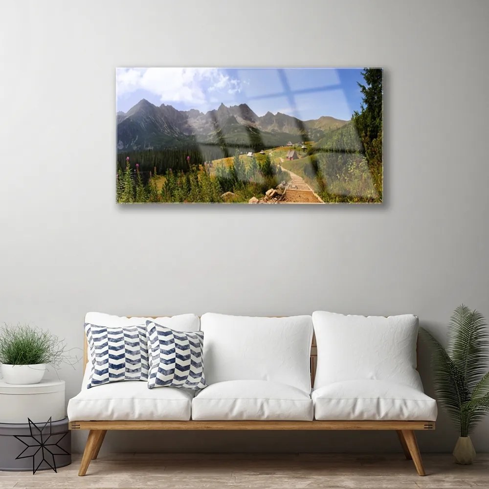 Obraz plexi Hala góry droga natura łąka 100x50 cm