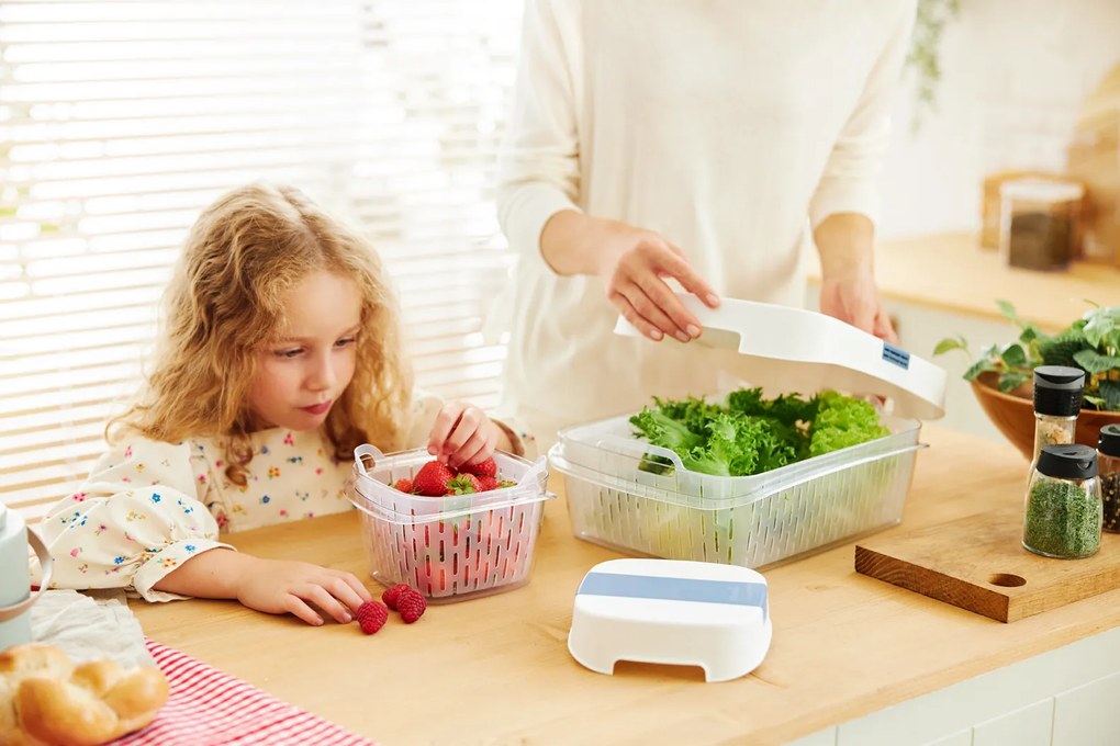 Rotho Špeciálny box na ovocie a zeleninu, s ventiláciou a filtrom, do chladničky, Fridge Fresh, 6,4 l - modrý