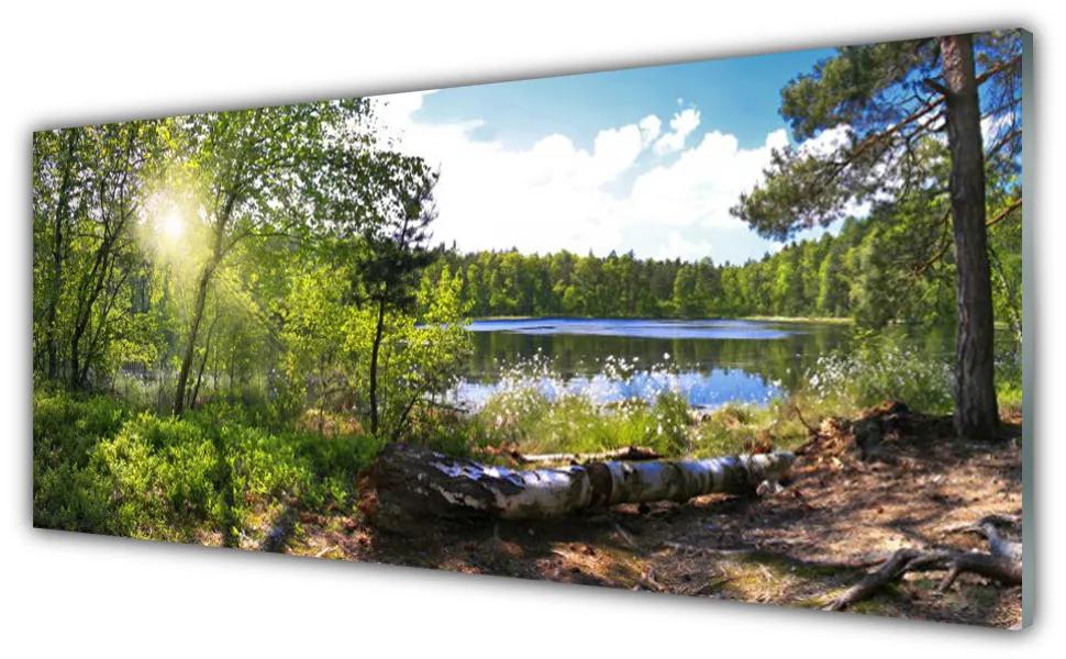 Obraz plexi Les stromy jazero príroda 125x50 cm