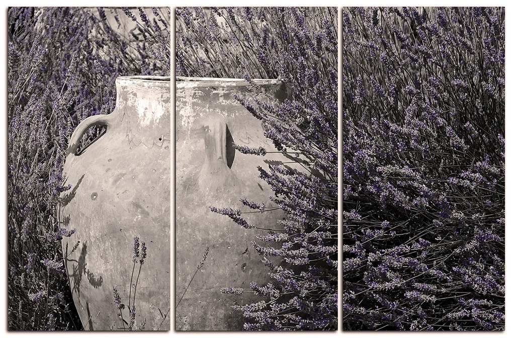 Obraz na plátne - Amfora medzi kríkmi levandule 169FB (120x80 cm)