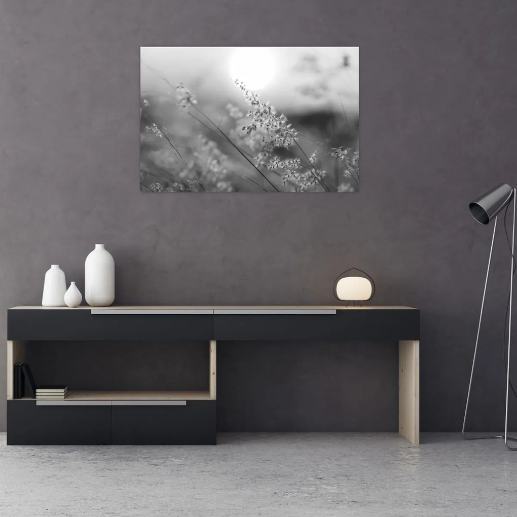 Obraz - Jesenná lúka (90x60 cm)
