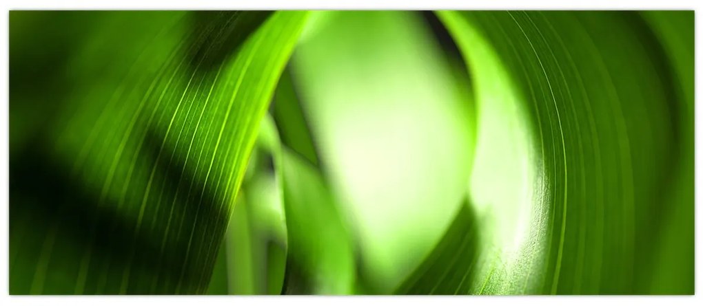 Obraz - Steblo trávy (120x50 cm)