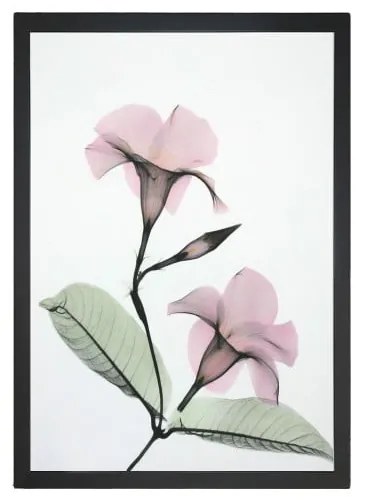 Obraz 24x29 cm Green Branch – Vavien Artwork