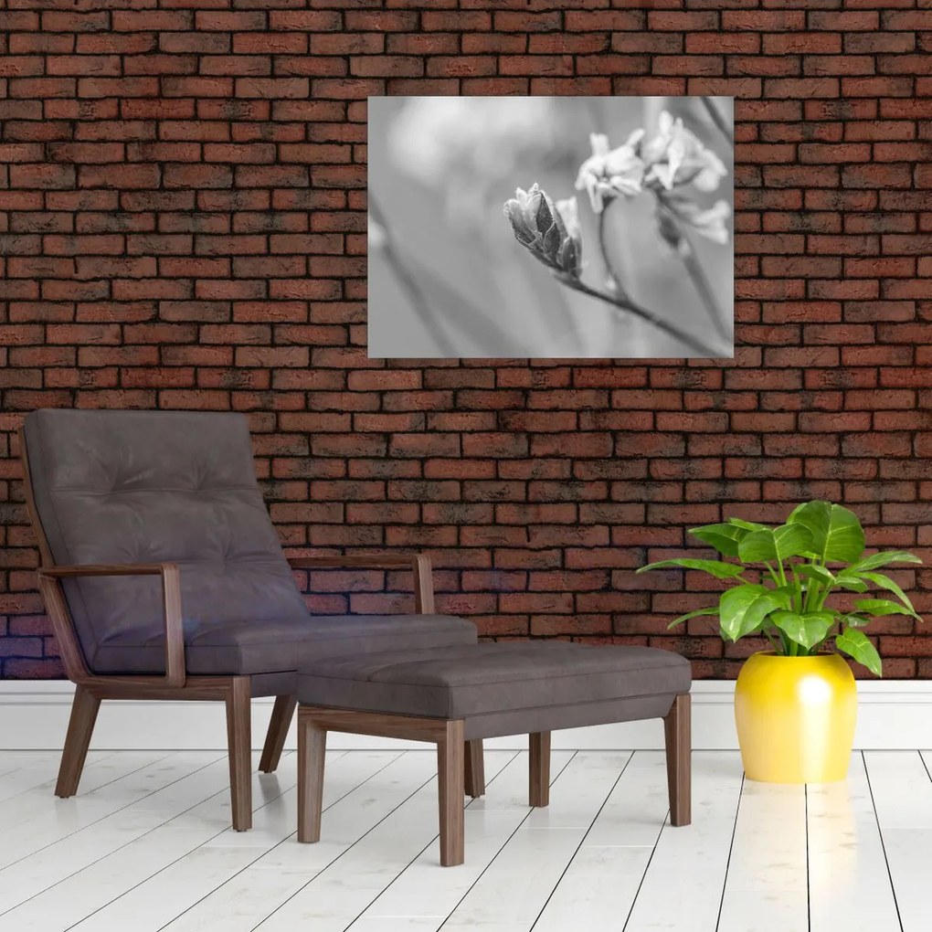 Sklenený obraz - Rozkvitnutý kvet (70x50 cm)