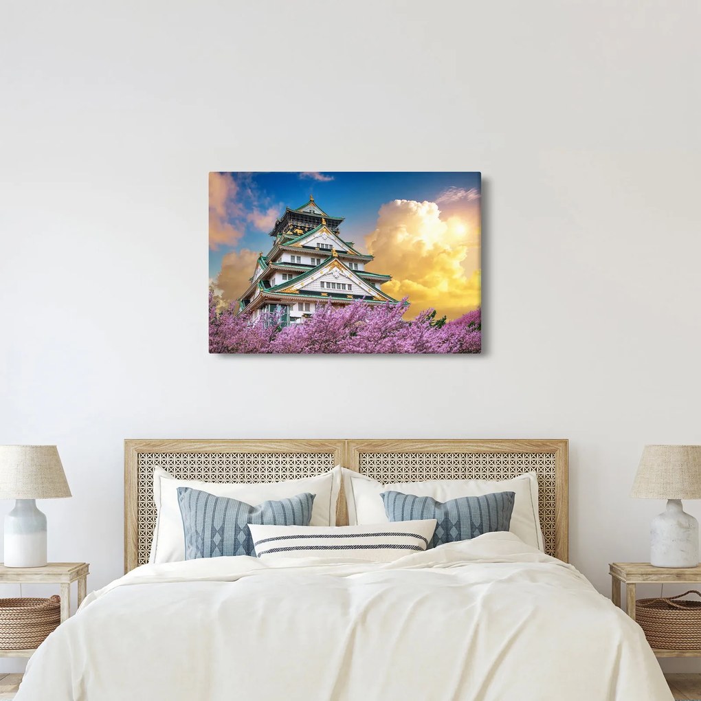 Obraz - Osacký hrad (90x60 cm)