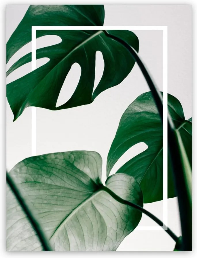 Obraz Styler Canvas Greenery Monstera, 60 × 80 cm