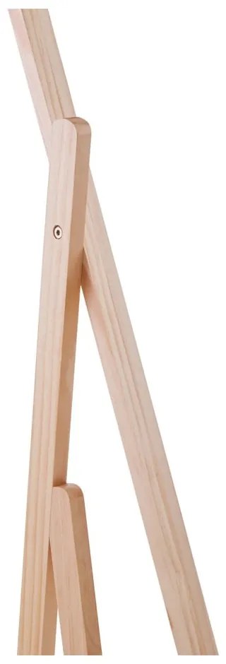 Stojacie zrkadlo s dreveným rámom 45x160 cm Rostok – Premier Housewares