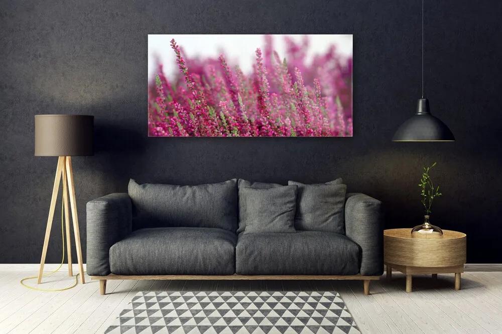 Obraz plexi Kvety lúka príroda 120x60 cm