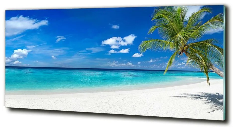 Foto obraz fotografie na skle Tropická pláž cz-obglass-125x50-158283371