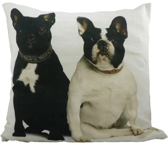 Bavlnený vankúš Francúzsky buldoček 50x50 cm - 50*10*50cm