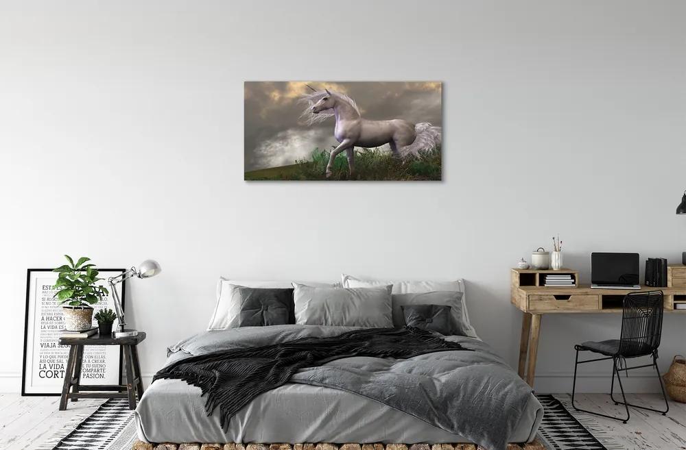 Obraz canvas Unicorn mraky 140x70 cm
