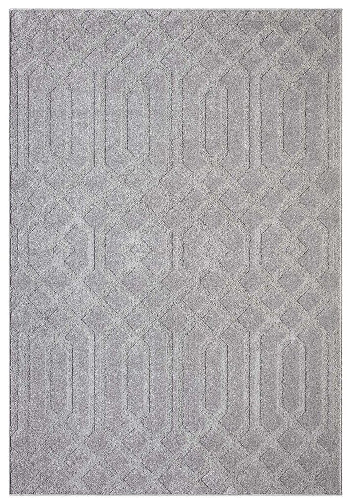 Dekorstudio Moderný koberec do obývačky FLAIR 138 - sivý Rozmer koberca: 200x290cm