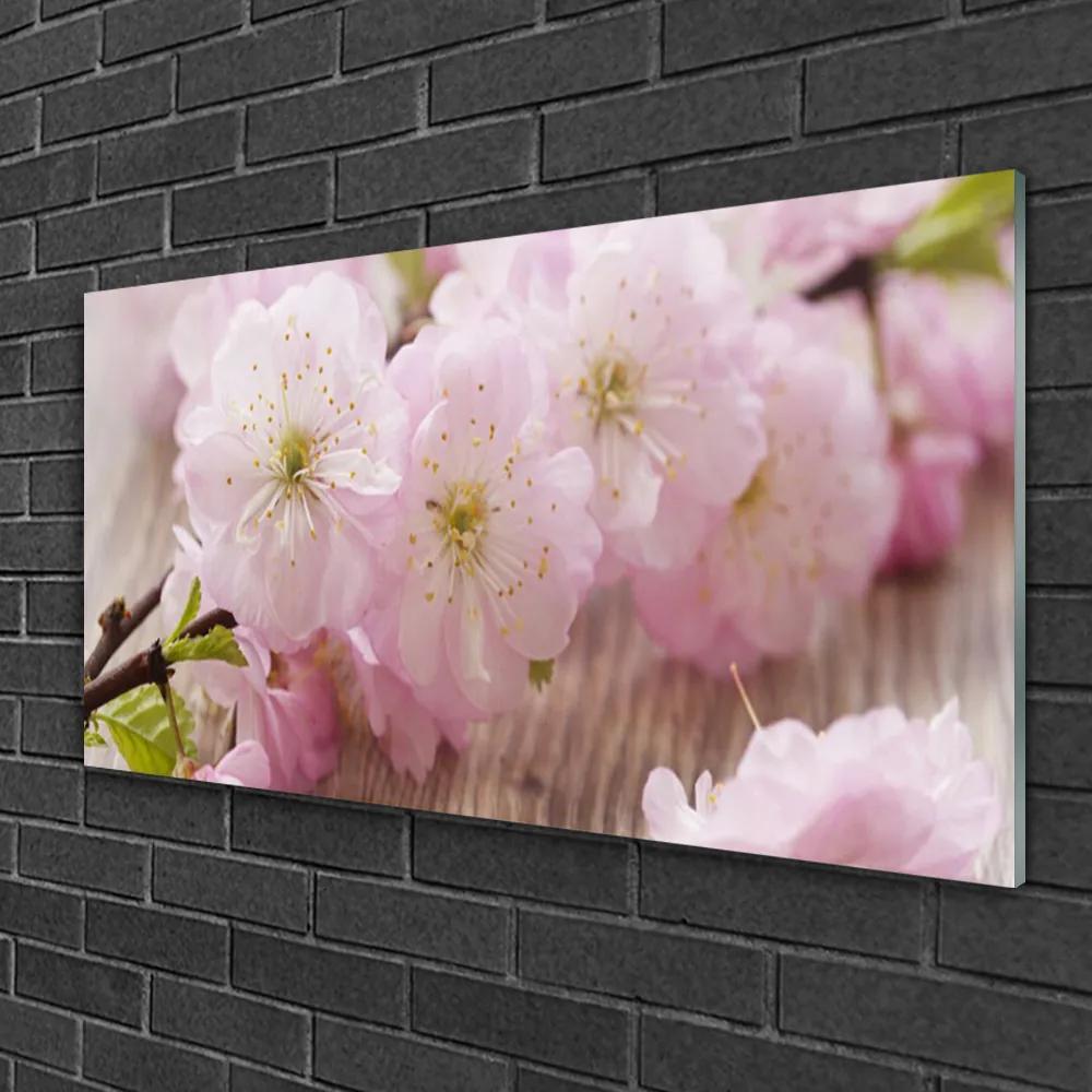 Skleneny obraz Vetvy kvety plátky príroda 125x50 cm