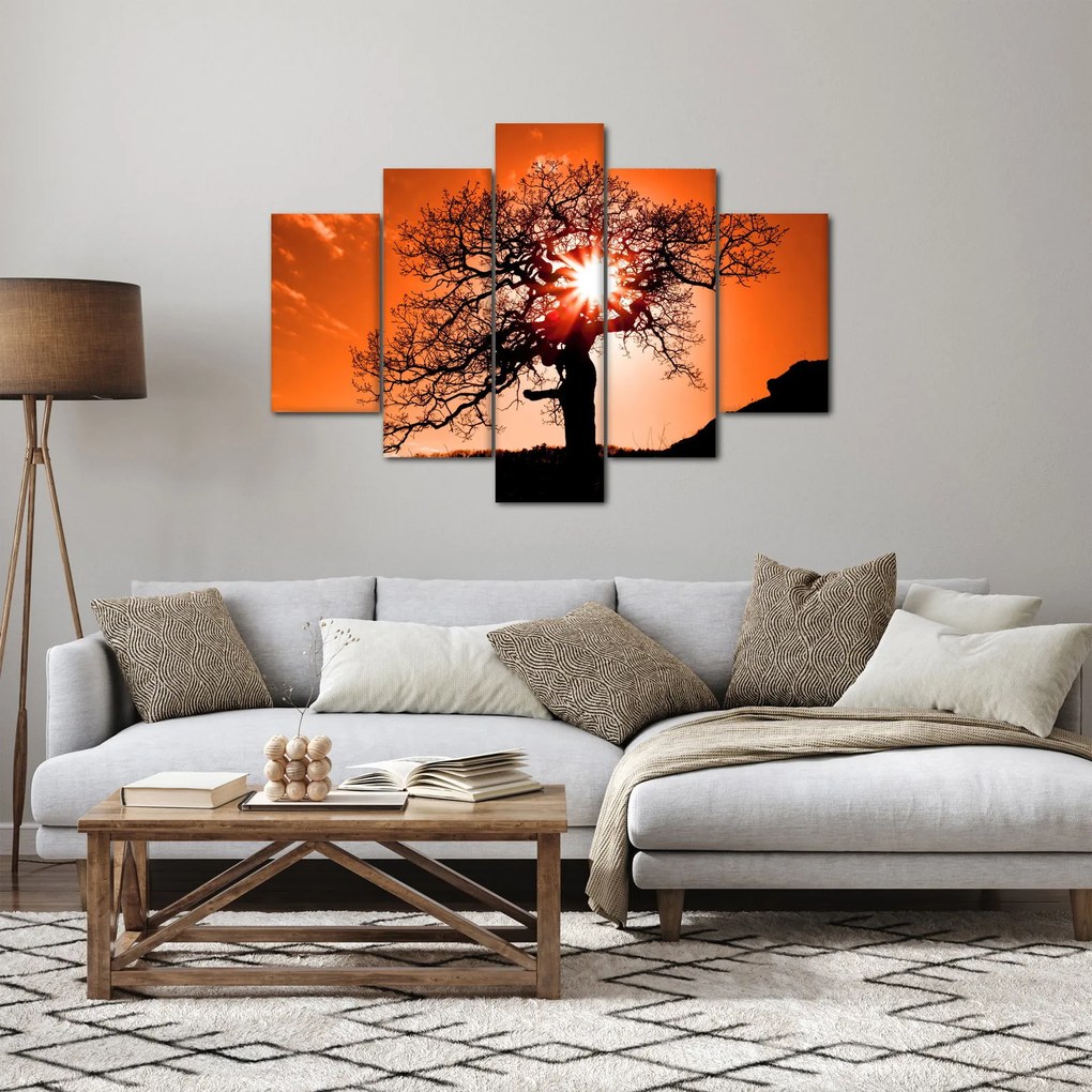 Obraz - Dub pri západe slnka (150x105 cm)