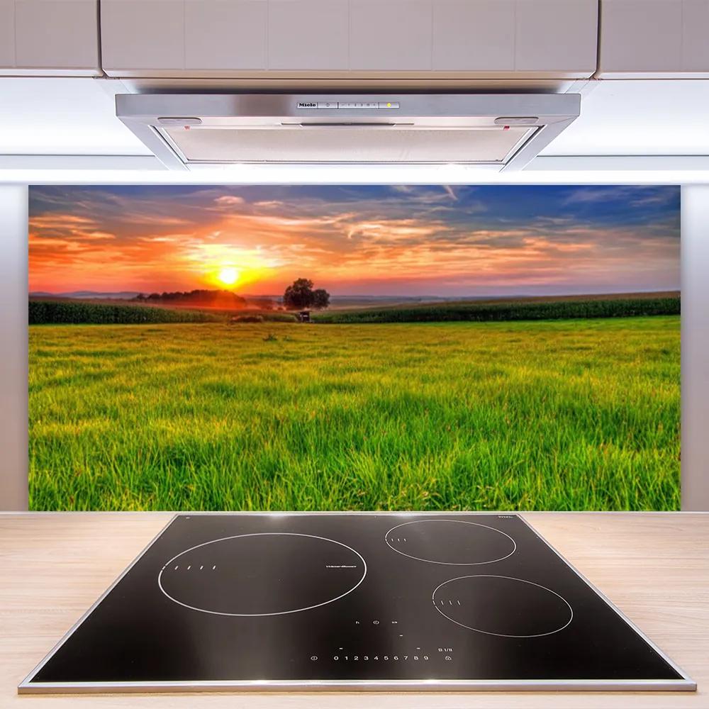 Sklenený obklad Do kuchyne Lúka slnko príroda 125x50 cm