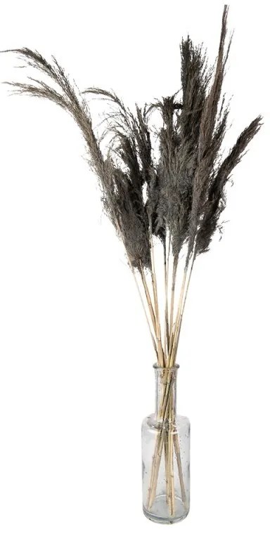 Šedá kytica sušené kvety bambusu Bamboo - 100 cm (10ks)