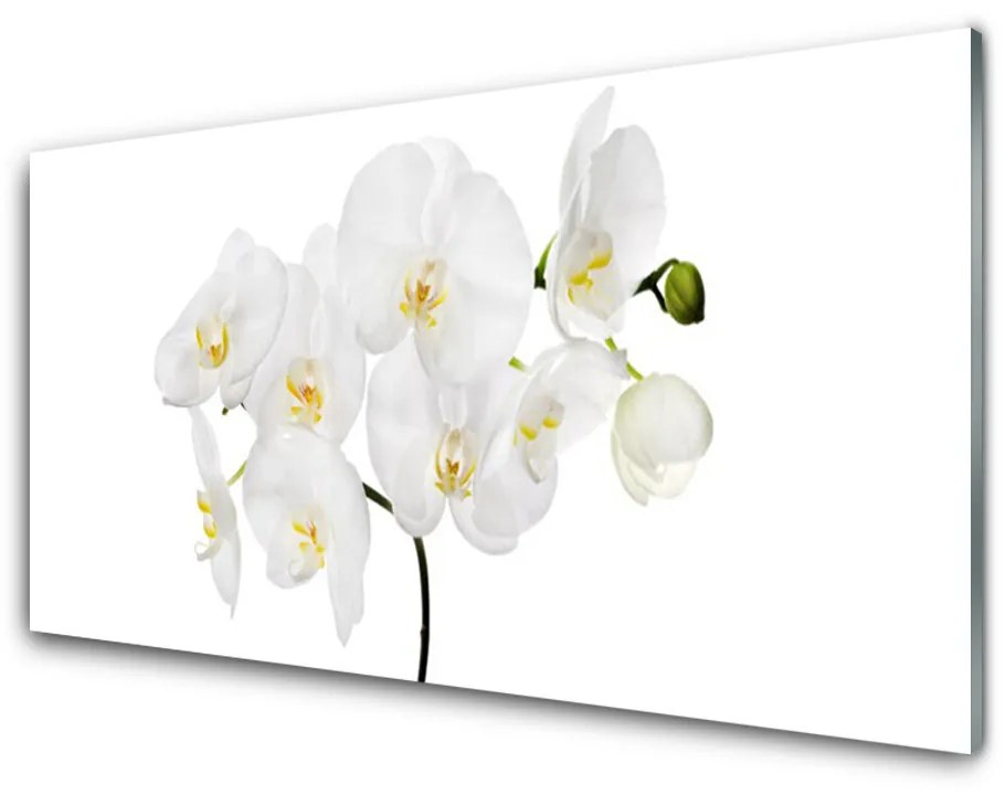 Skleneny obraz Biela orchidea kvety 120x60 cm