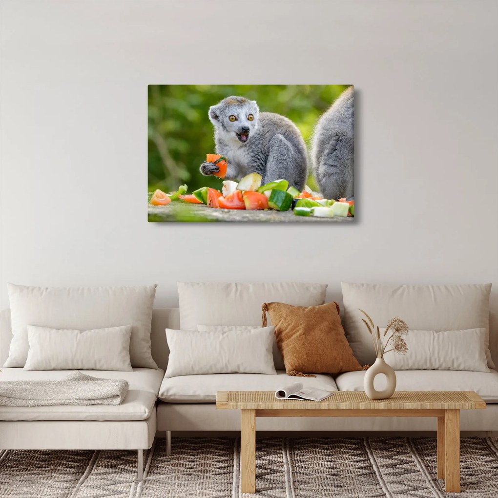 Obraz lemura (90x60 cm)